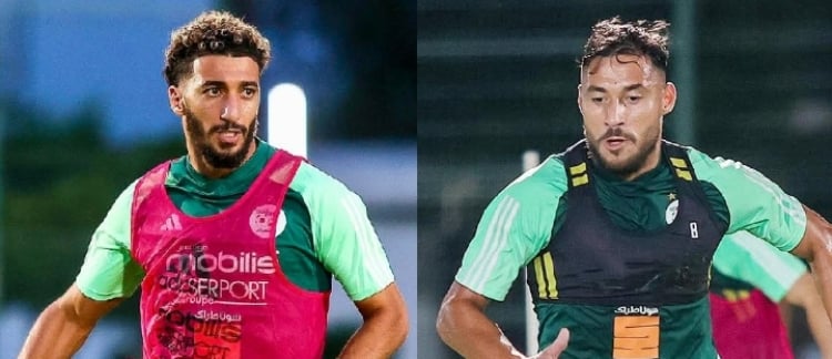 “الفاف” أخمدت فتنة في المهد