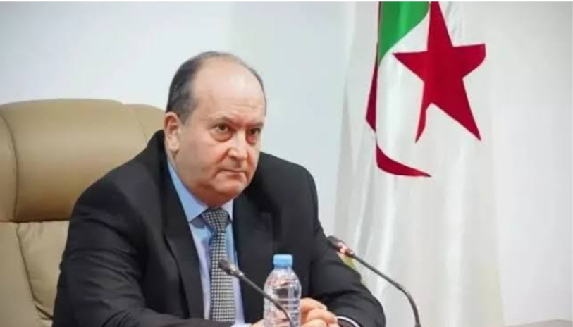 سجّلت حضورا لافتا.. هذه هي حصة المرأة في حكومة سيفي غريب!