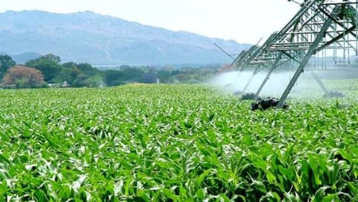 إطلاق محفظة استثمارية جديدة بـ 121 هكتار في هذه الولاية