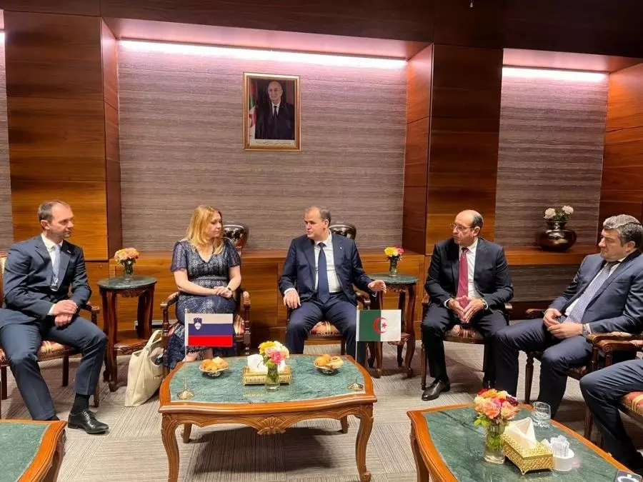 رزيق: الجزائر شريك قوي لسلوفينيا وبوابة إفريقيا