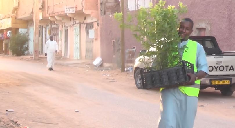 حملة غرس مليون شجرة .. تجاوب واسع من مواطني جل بلديات ولاية إن صالح