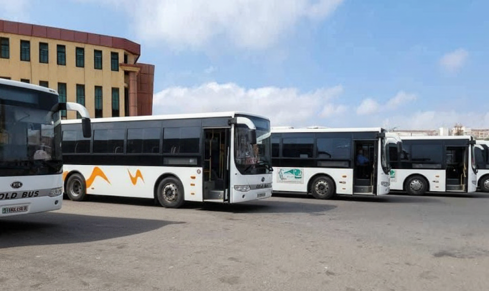 “الحافلة البيضاء” بدلاً من البرتقالية.. هذا جديد النقل الجامعي لموسم 2025-2026