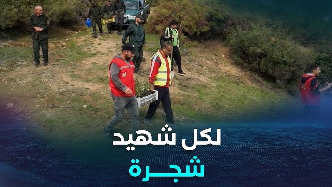 جيجل: تحت شعار “لكل شهيد شجرة”.. تنظيم حملة تشجير بجبل صندوح في تاكسنة لدلالته التاريخية