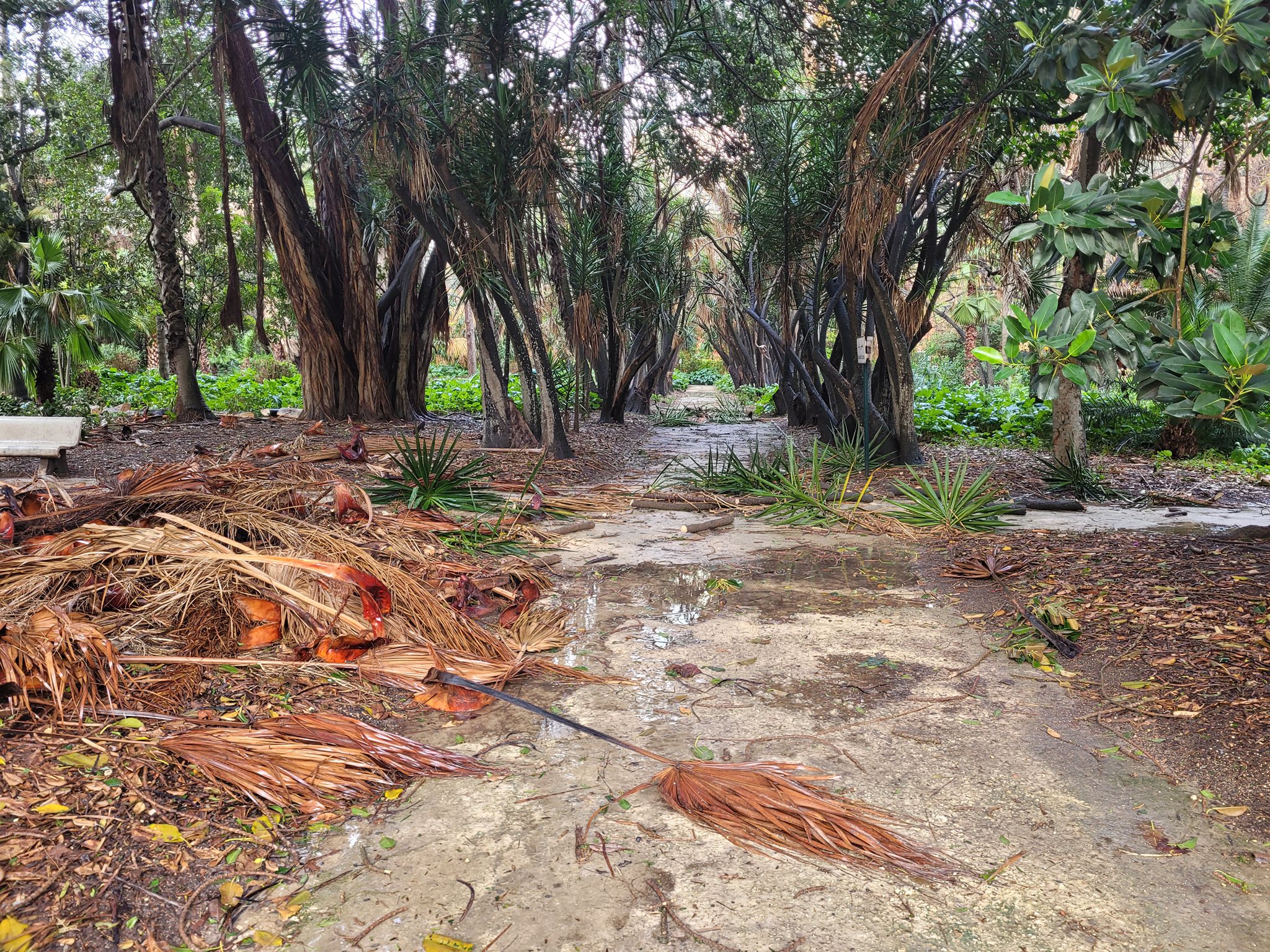 الجزائر – تمديد إغلاق كافة مساحات الغابات والحدائق العامة – الشروق أونلاين