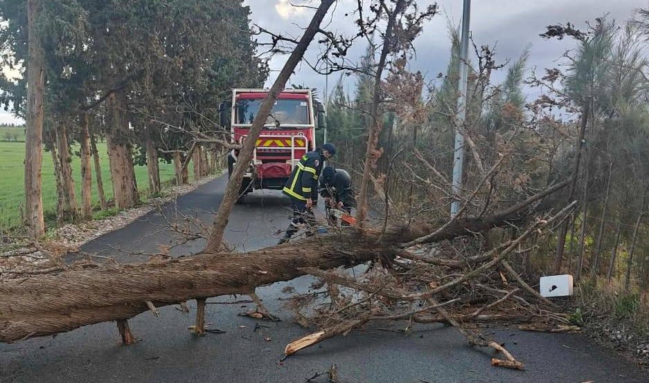 الجزائر – وفاة طفل وإصابة 19 شخصا في 8 ولايات – الشروق أونلاين