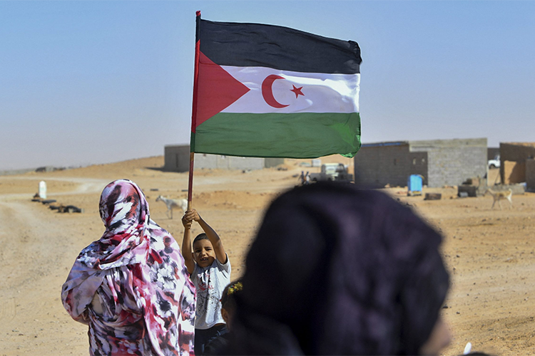 الجزائر – غياب التوافق يبقي الوضع هشا.. وفرنسا لن تتمكن من تحقيق التوافق – الشروق أونلاين