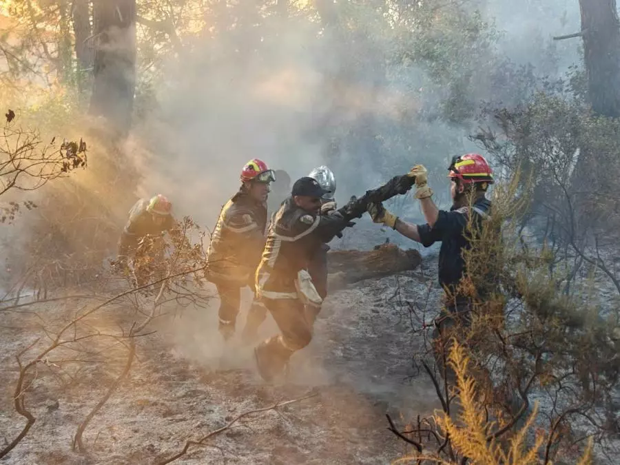 Protection civile: Extinction de 142 incendies sur un total 195 en 24h