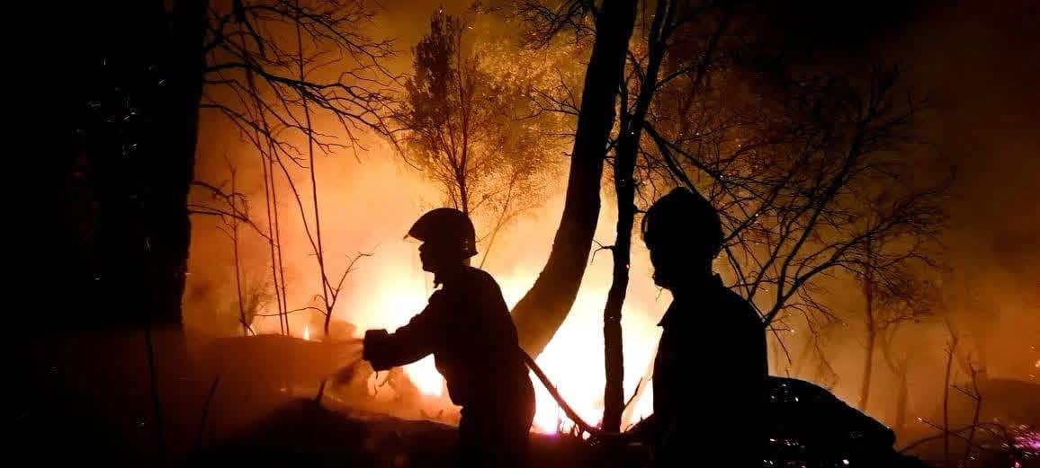 147 حريقًا خلال 24 ساعة.. إجلاء 285 عائلة واستمرار عمليات الإخماد بـ19 بؤرة