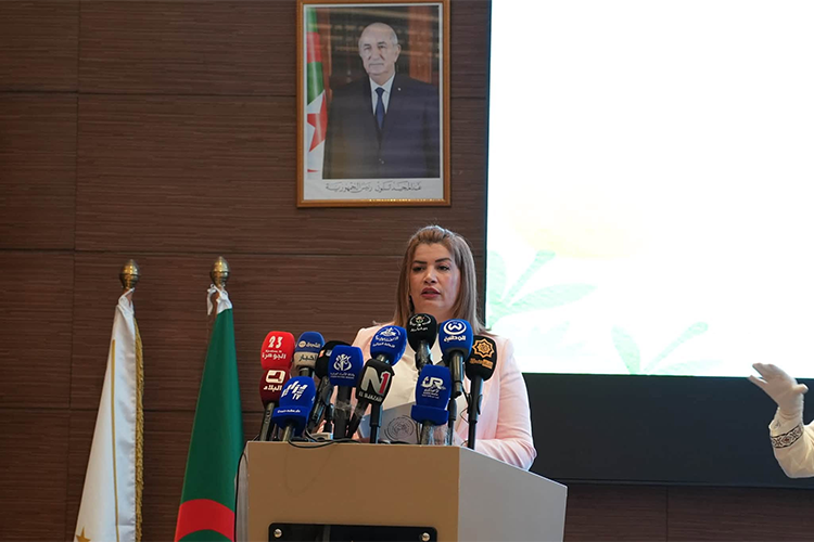 حماية الطفولة خيار استراتيجي للدولة واستثمار في مستقبل الجزائر