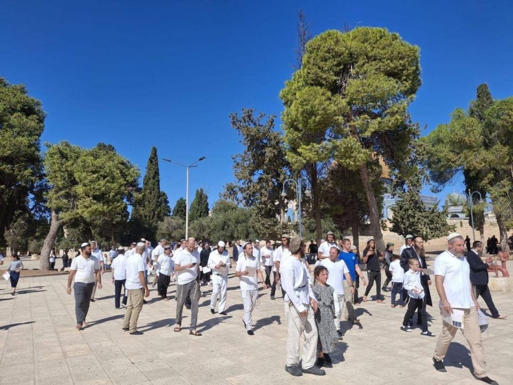 1271 مستوطنا يقتحمون المسجد الأقصى