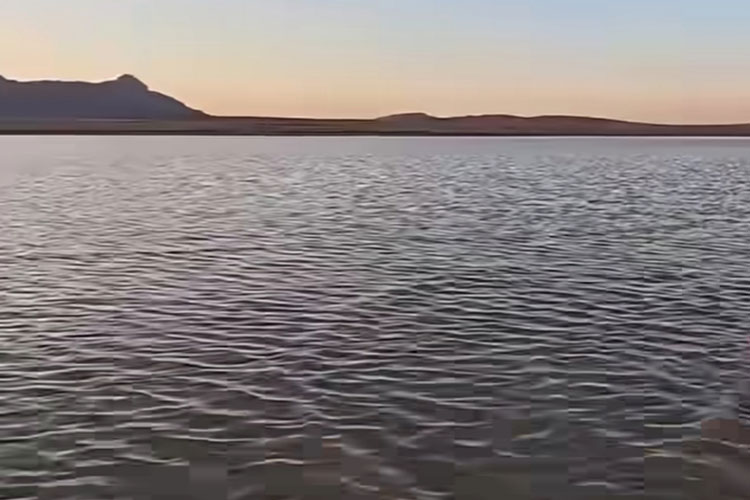 سبخة الزمول بأم البواقي تتحول إلى مقصد لعشاق الطبيعة وهواة التصوير