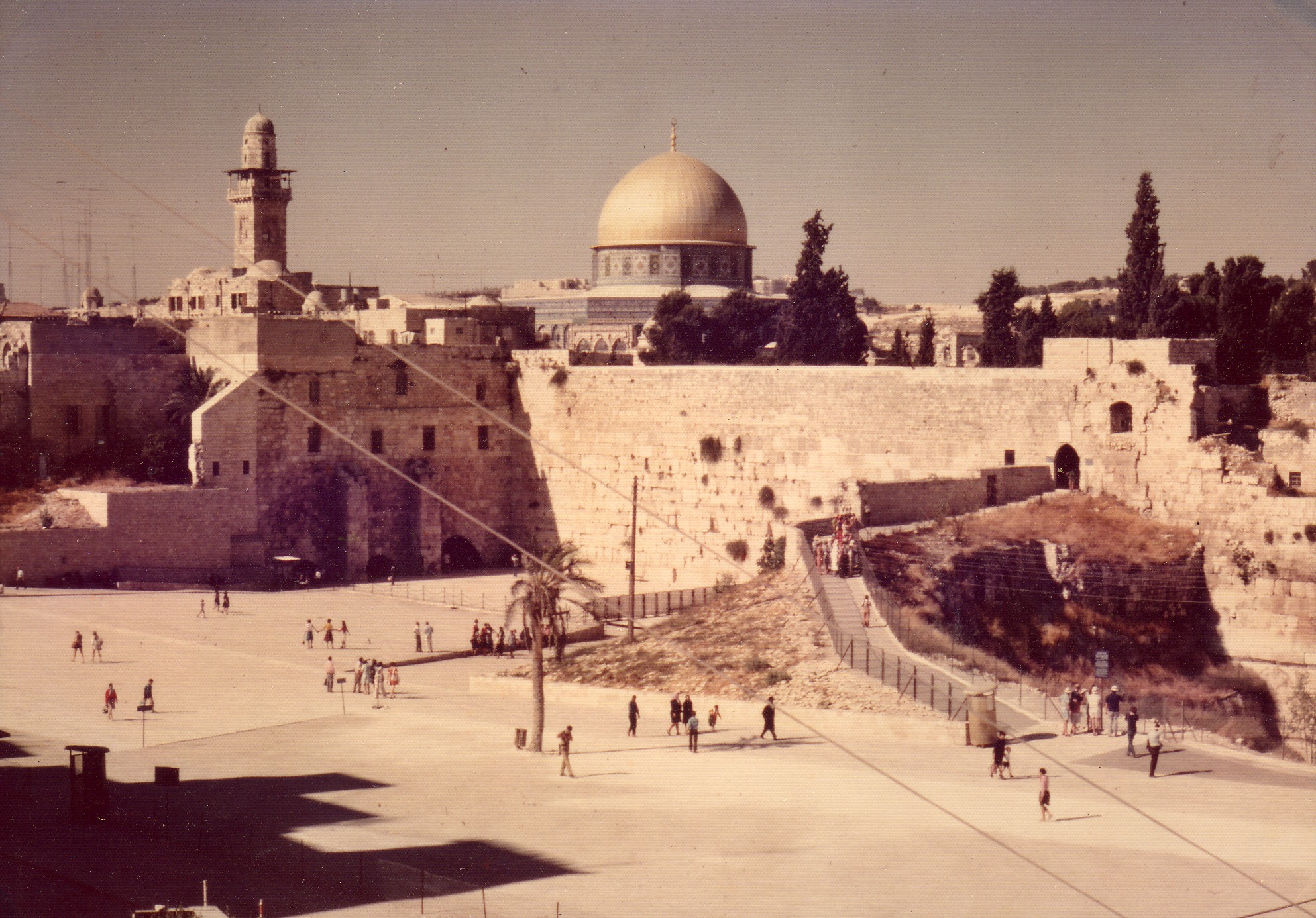 سر تعلق الجزائريين بفلسطين