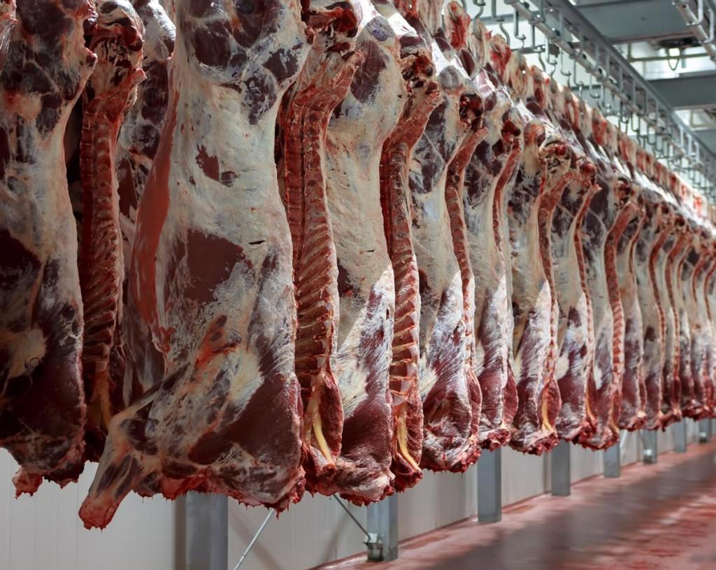 Algerian President Orders Probe into Imported Meat Prices and Monopolies