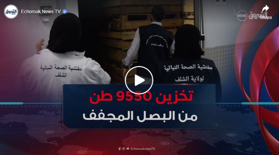 تخزين 9550 طنا من البصل الجاف في الشلف لكسر الأسعار تحسبا لشهر رمضان