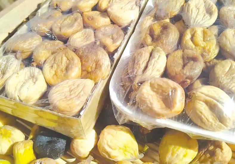 أكثر من 200 عارض يبرزون صمود شعبة التين أمام التقلبات المناخية