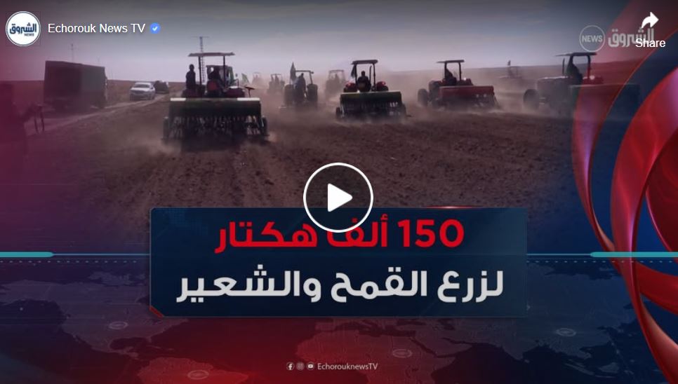 موسم الحرث والبذر.. 150 ألف هكتار لزرع القمح والشعير بولاية سطيف