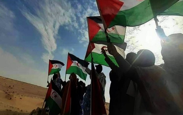 لا أمريكا ولا مجلس الأمن… الصحراويون وحدهم يقرّرون المصير!