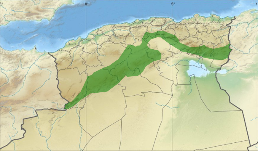 مشروع “السدّ الأخضر” على طاولة اللجنة الفنية لمجلس وزراء البيئة العرب