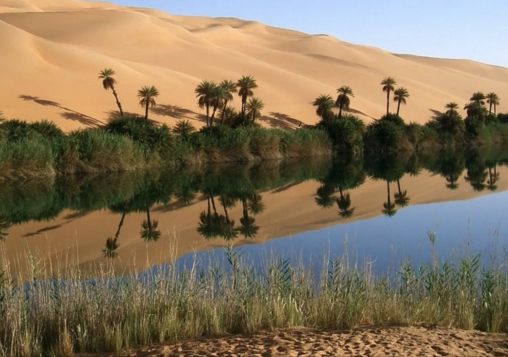 مُسطّحات مائية بالصحراء تتحوّل إلى حمامات مفتوحة للسّيّاح… !